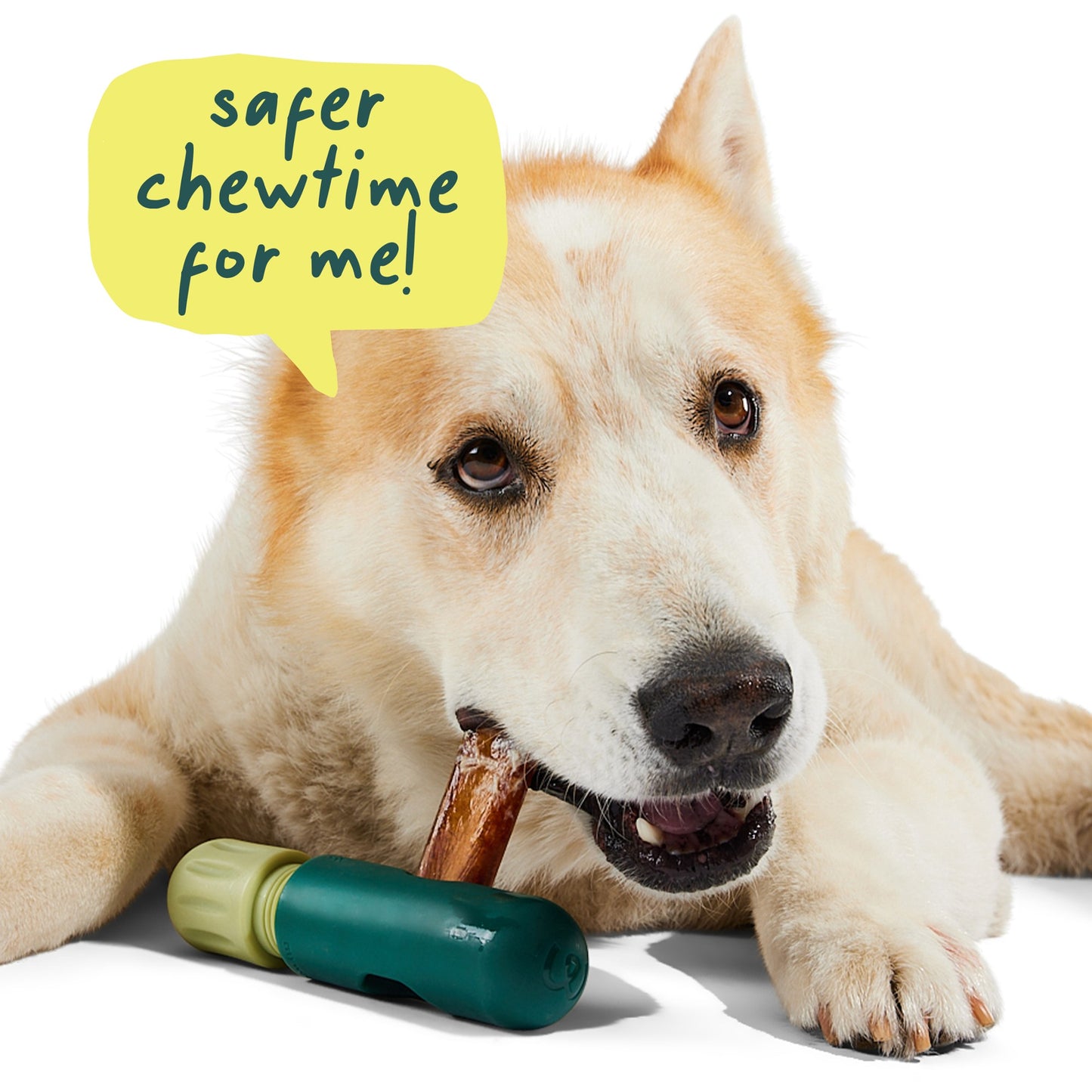 BullySafe Bully Stick Holder