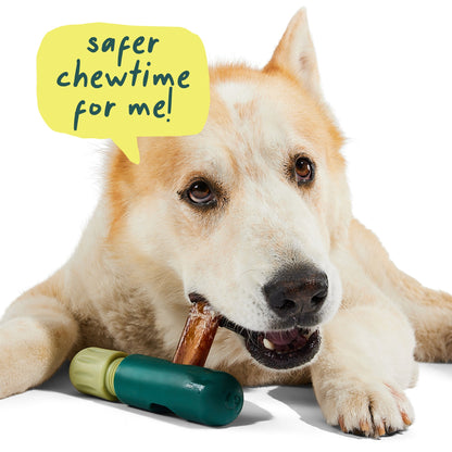 BullySafe Bully Stick Holder